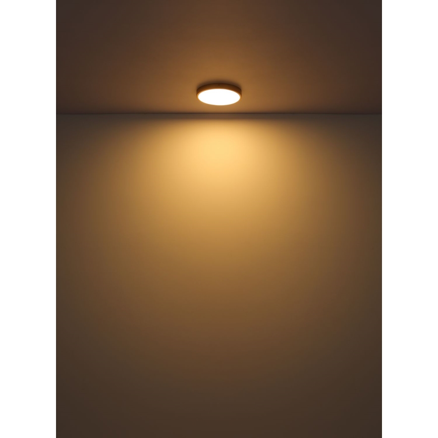 Globo - LED Stropna svetilka LED/22W/230V pr. 35 cm