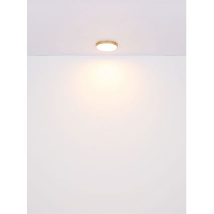 Globo - LED Stropna svetilka LED/22W/230V pr. 35 cm