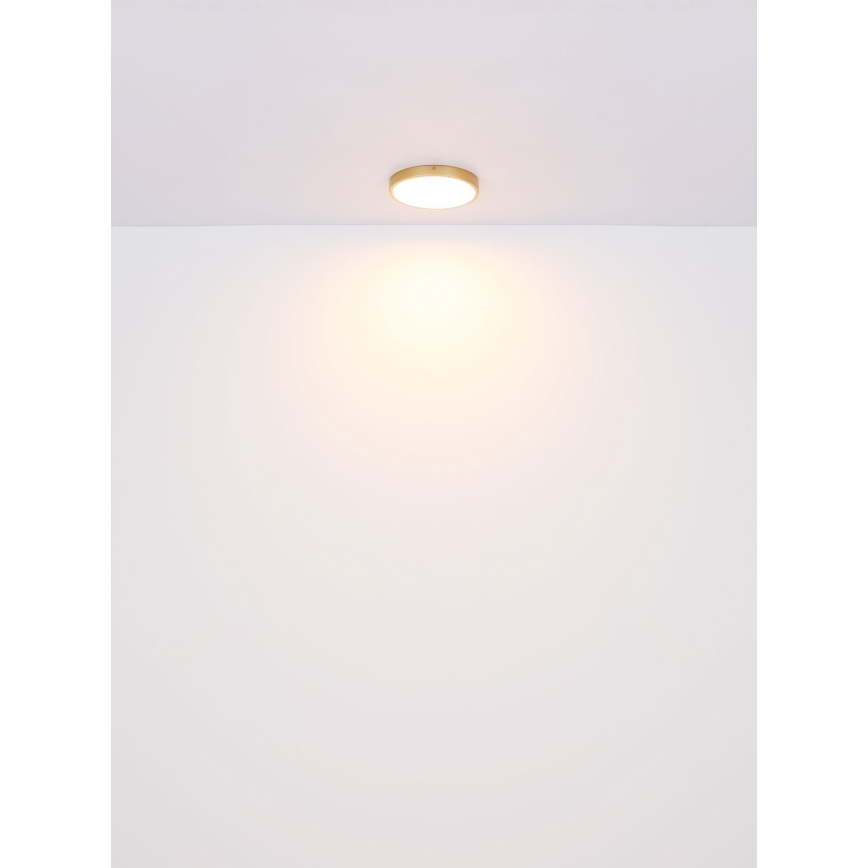 Globo - LED Stropna svetilka LED/22W/230V pr. 35 cm