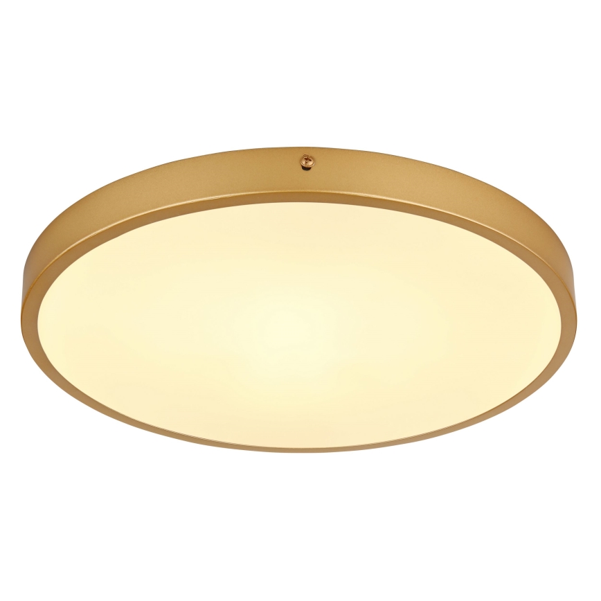 Globo - LED Stropna svetilka LED/22W/230V pr. 35 cm