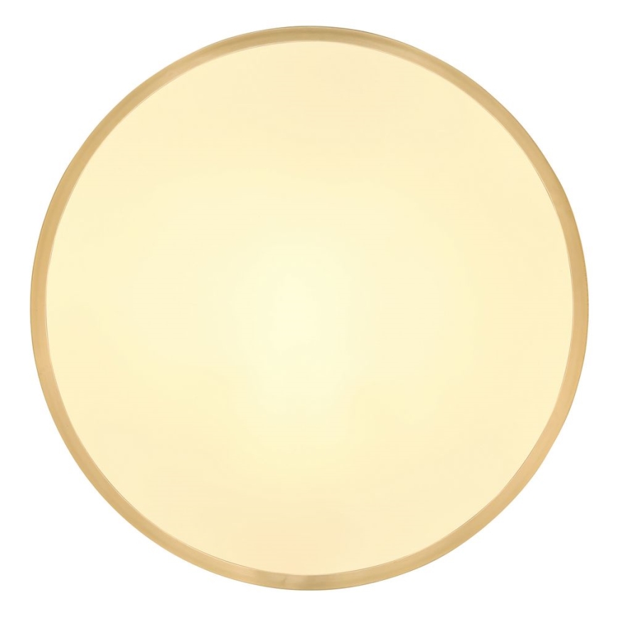 Globo - LED Stropna svetilka LED/22W/230V pr. 35 cm