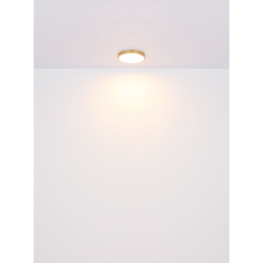 Globo - LED Stropna svetilka LED/30W/230V pr. 45 cm