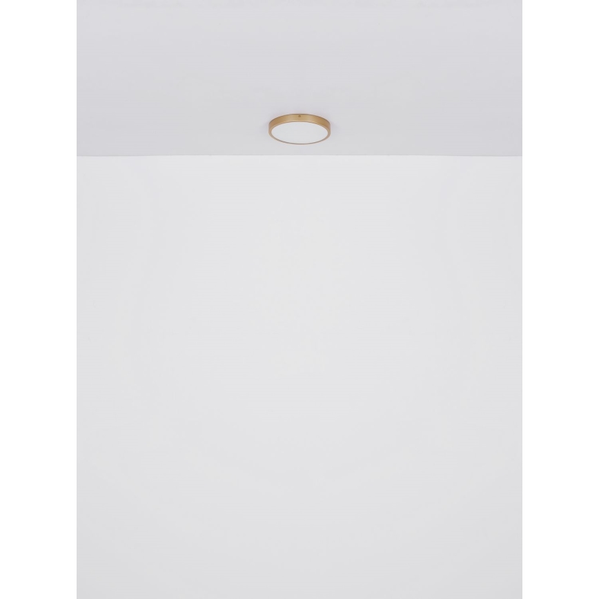 Globo - LED Stropna svetilka LED/30W/230V pr. 45 cm