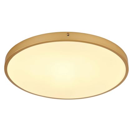 Globo - LED Stropna svetilka LED/30W/230V pr. 45 cm