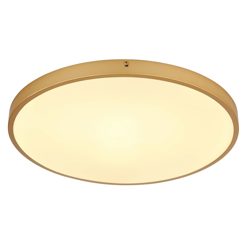 Globo - LED Stropna svetilka LED/30W/230V pr. 45 cm