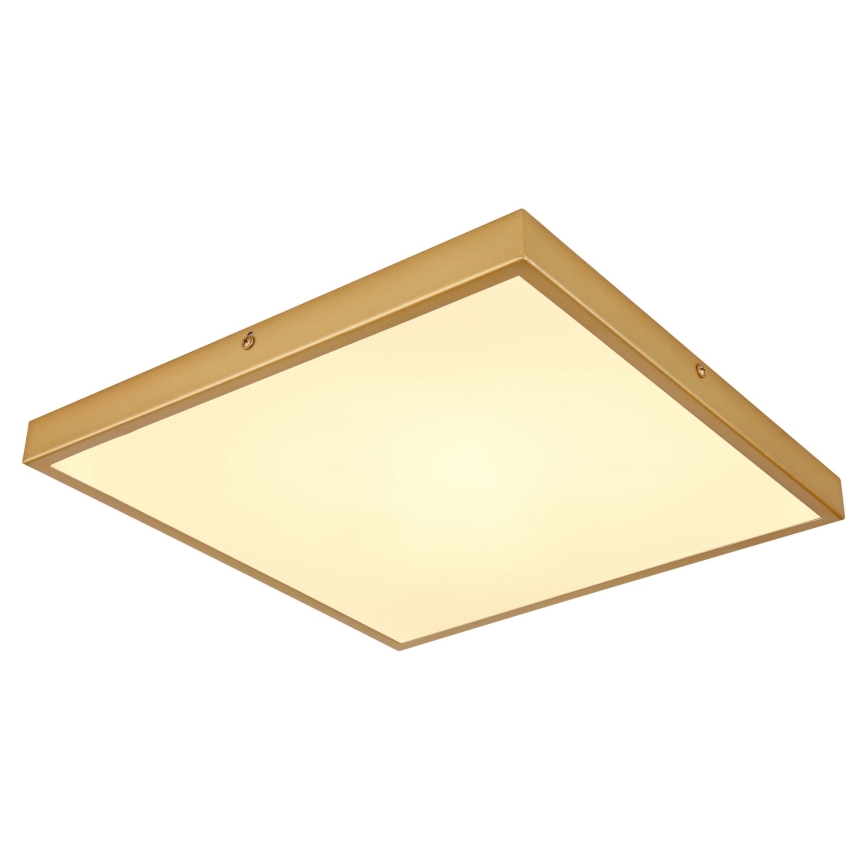 Globo - LED Stropna svetilka LED/22W/230V 35x35 cm
