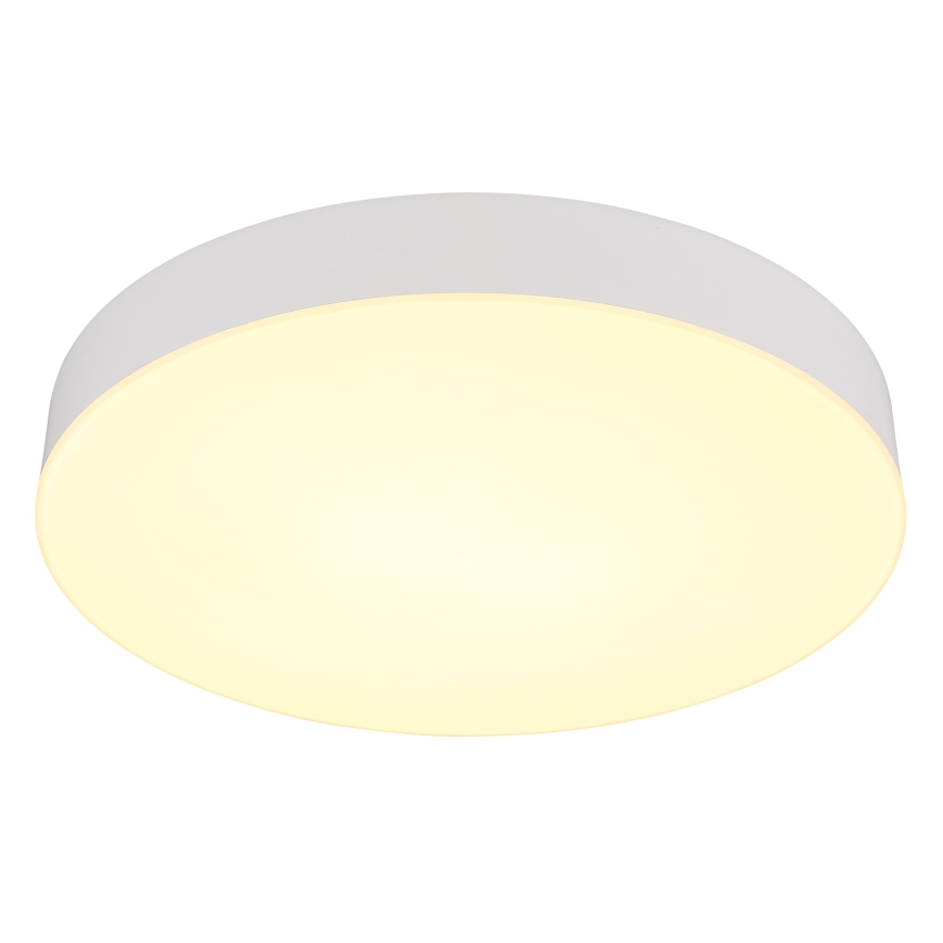 Globo - LED Stropna svetilka LED/24W/230V 3000K/4000K/6500K pr. 30 cm bela