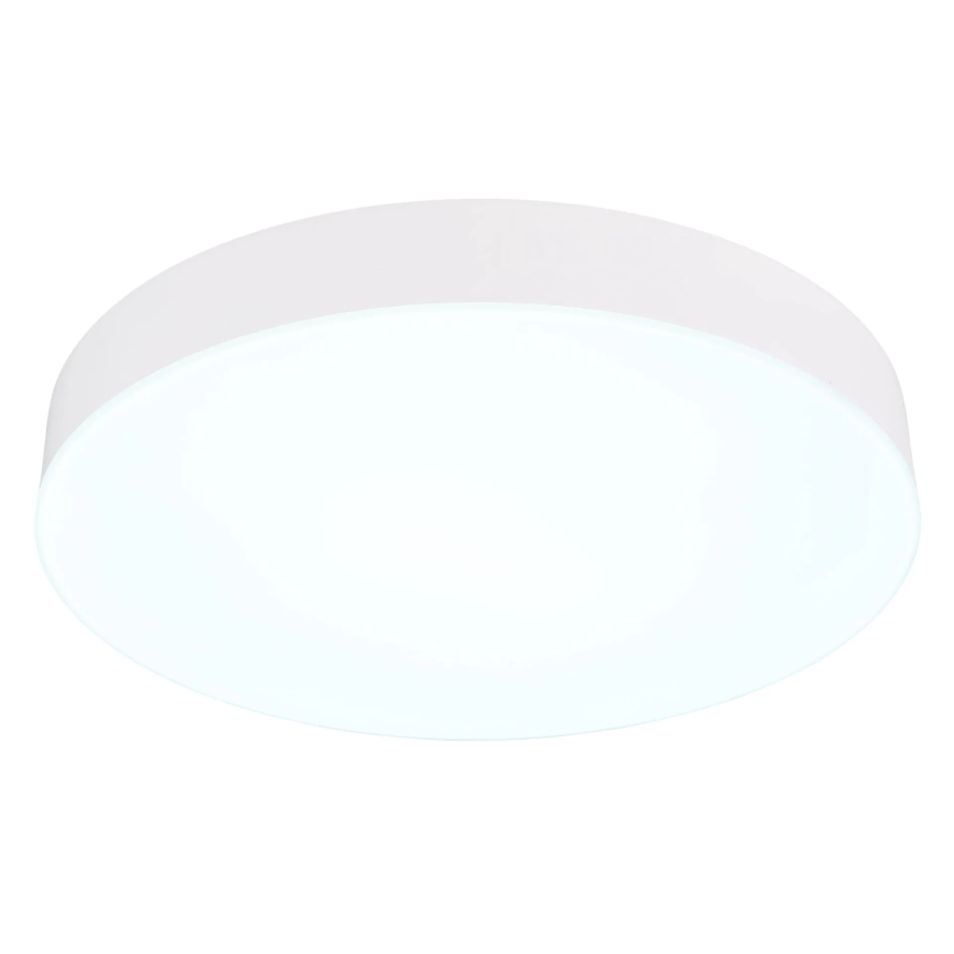 Globo - LED Stropna svetilka LED/24W/230V 3000K/4000K/6500K pr. 30 cm bela