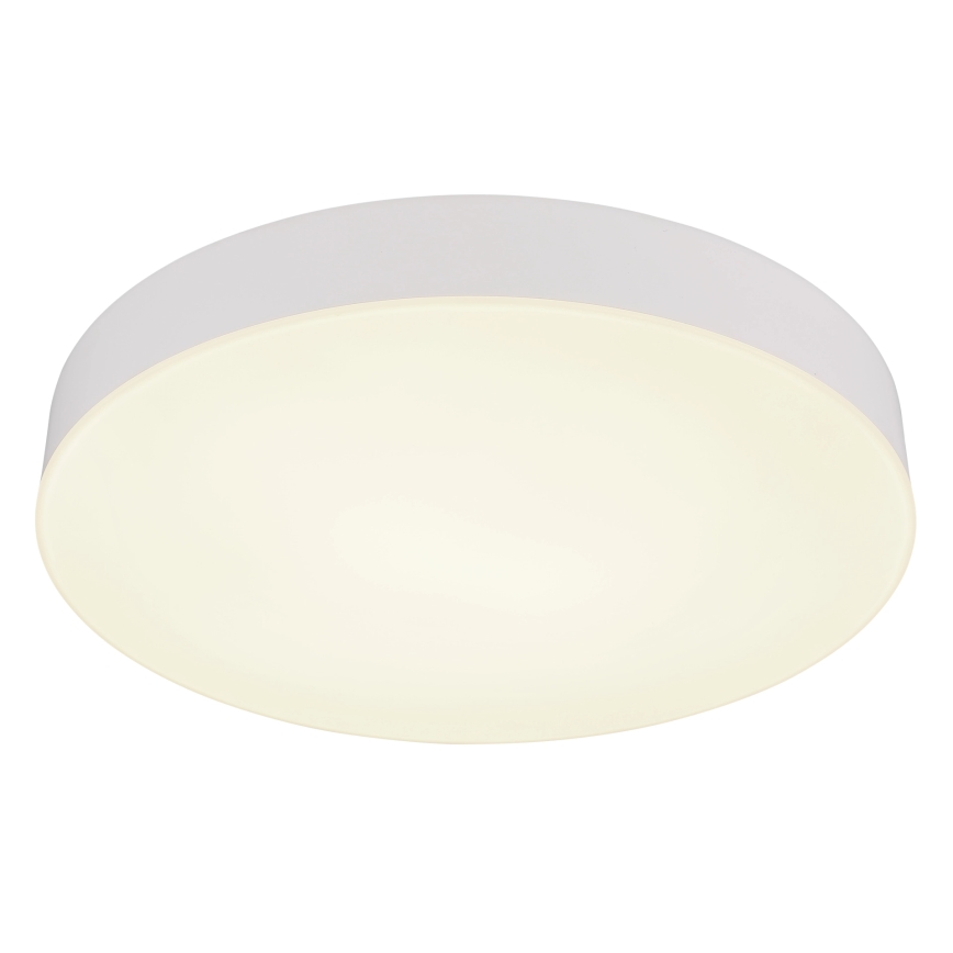Globo - LED Stropna svetilka LED/24W/230V 3000K/4000K/6500K pr. 30 cm bela