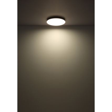 Globo - LED Stropna svetilka LED/50W/230V 3000K/4000K/6500K pr. 50 cm črna