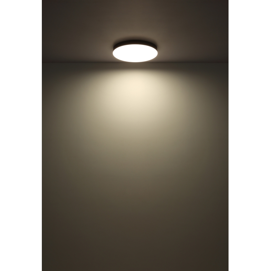 Globo - LED Stropna svetilka LED/50W/230V 3000K/4000K/6500K pr. 50 cm črna