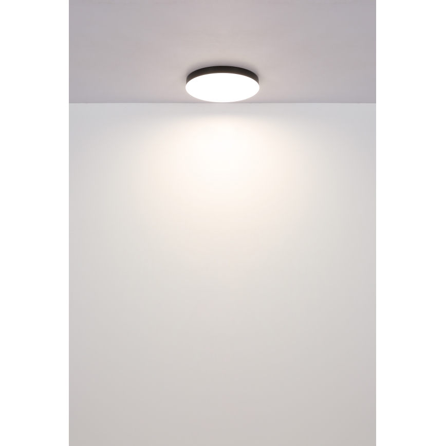 Globo - LED Stropna svetilka LED/50W/230V 3000K/4000K/6500K pr. 50 cm črna
