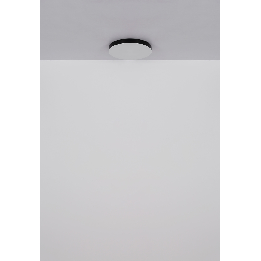 Globo - LED Stropna svetilka LED/50W/230V 3000K/4000K/6500K pr. 50 cm črna