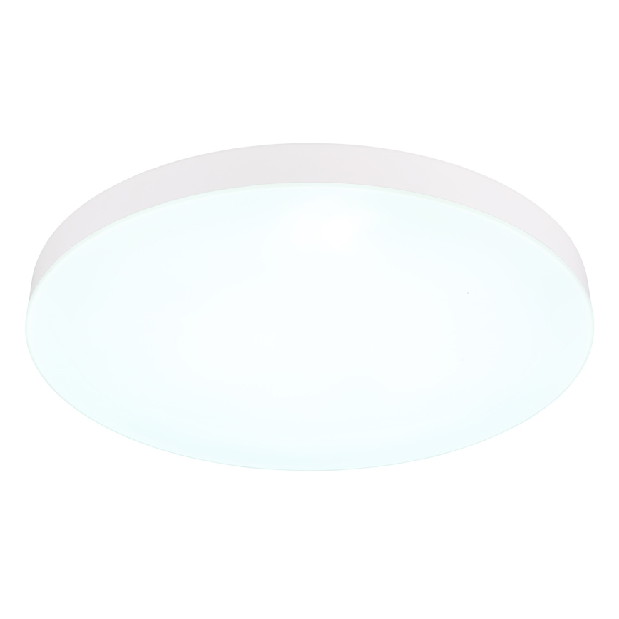 Globo - LED Stropna svetilka LED/50W/230V 3000K/4000K/6500K pr. 50 cm bela