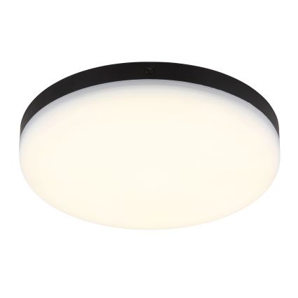 Globo - LED Stropna svetilka LED/12W/230V 4000K pr. 22 cm črna