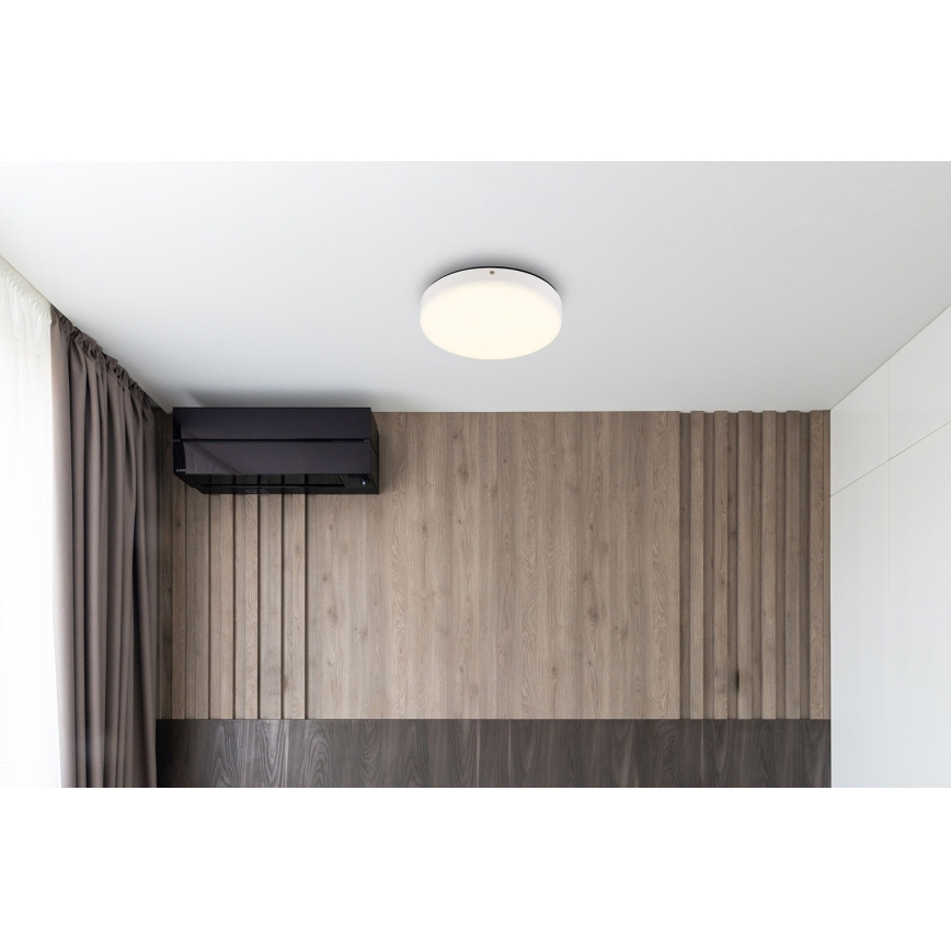 Globo - LED Stropna svetilka LED/12W/230V 4000K pr. 22 cm bela