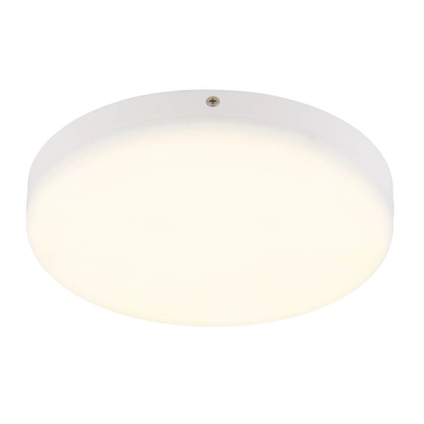 Globo - LED Stropna svetilka LED/12W/230V 4000K pr. 22 cm bela
