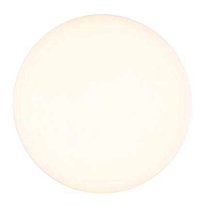 Globo - LED Stropna svetilka LED/8W/230V 4000K pr. 12 cm bela