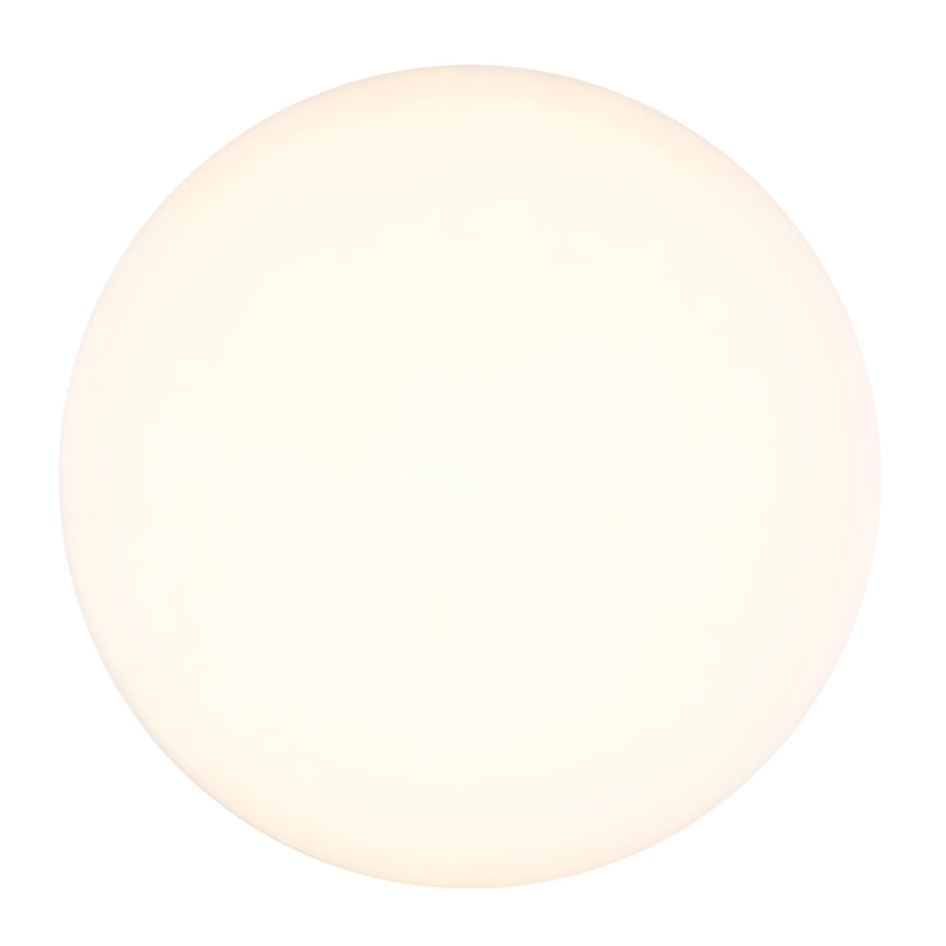 Globo - LED Stropna svetilka LED/8W/230V 4000K pr. 12 cm bela