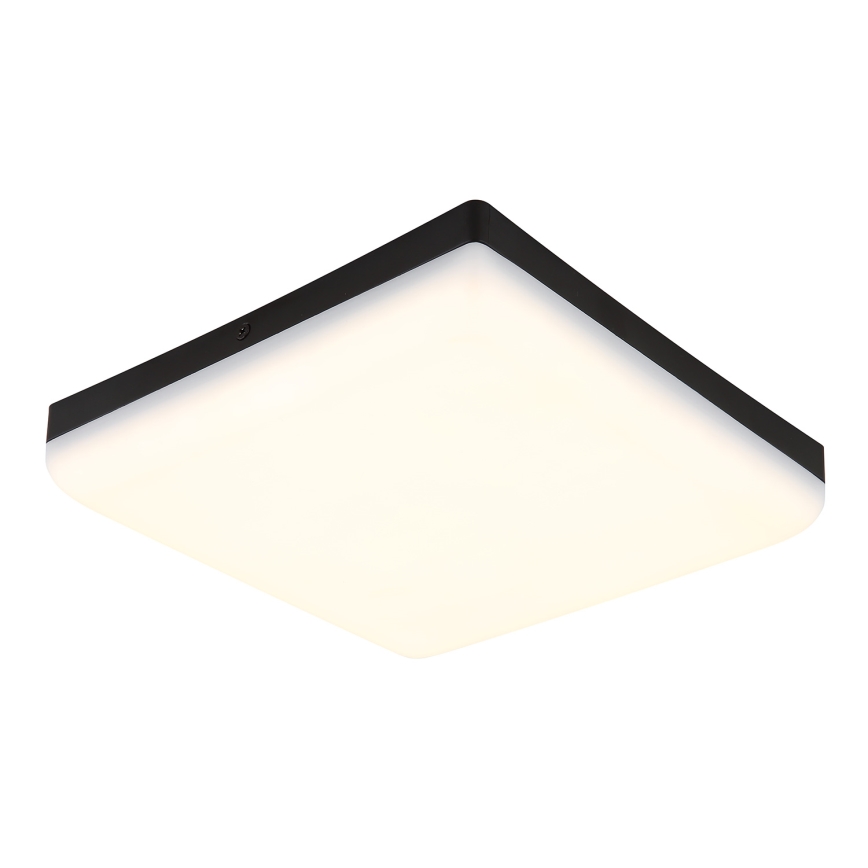 Globo - LED Stropna svetilka LED/12W/230V 4000K 22x22 cm črna