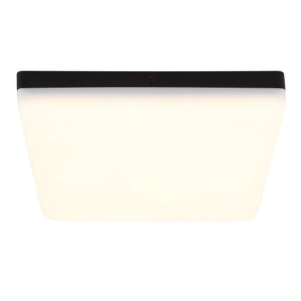 Globo - LED Stropna svetilka LED/12W/230V 4000K 22x22 cm črna