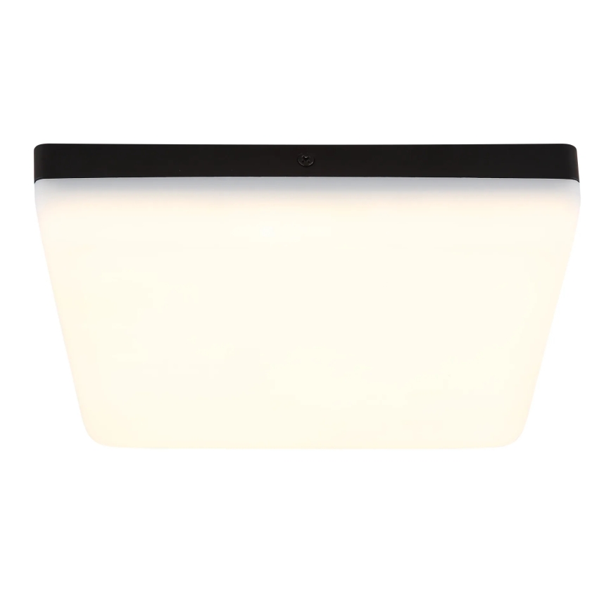 Globo - LED Stropna svetilka LED/12W/230V 4000K 22x22 cm črna