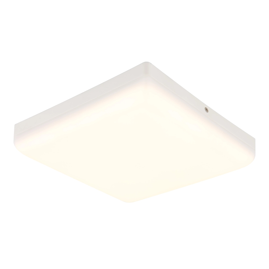 Globo - LED Stropna svetilka LED/12W/230V 4000K 22x22 cm bela