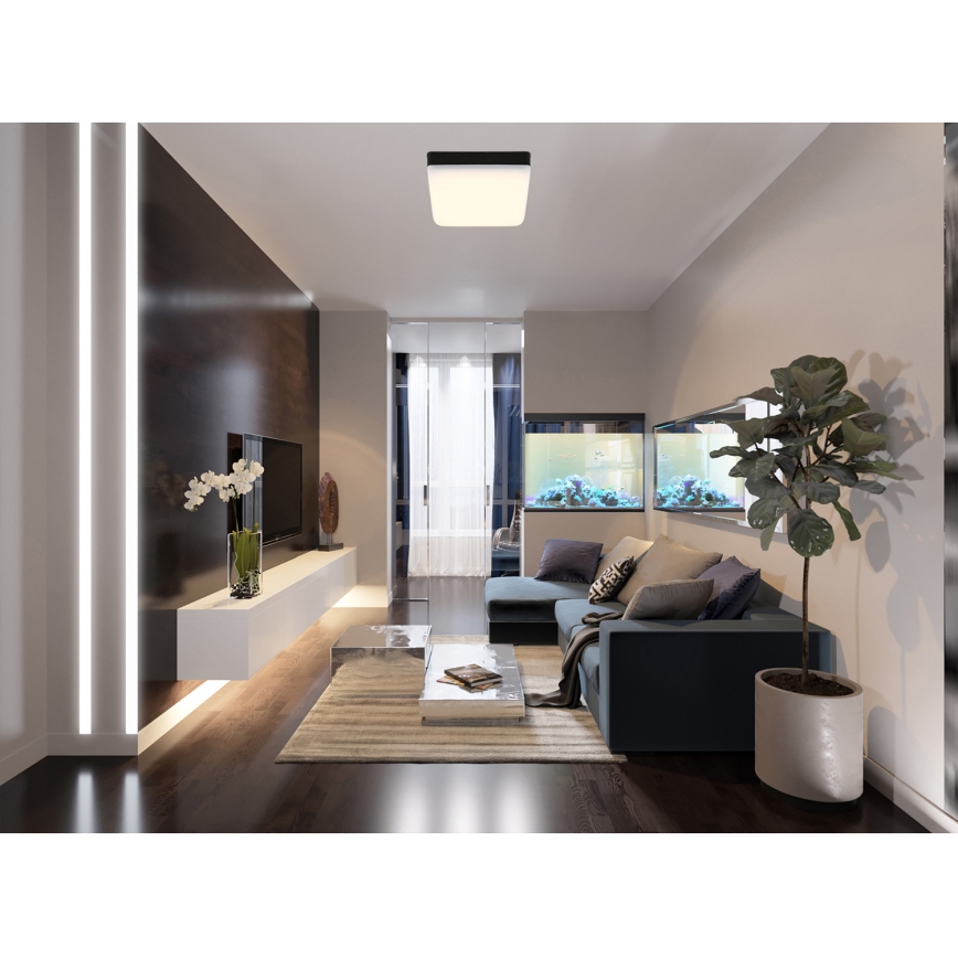 Globo - LED Stropna svetilka LED/8W/230V 4000K 12x12 cm črna