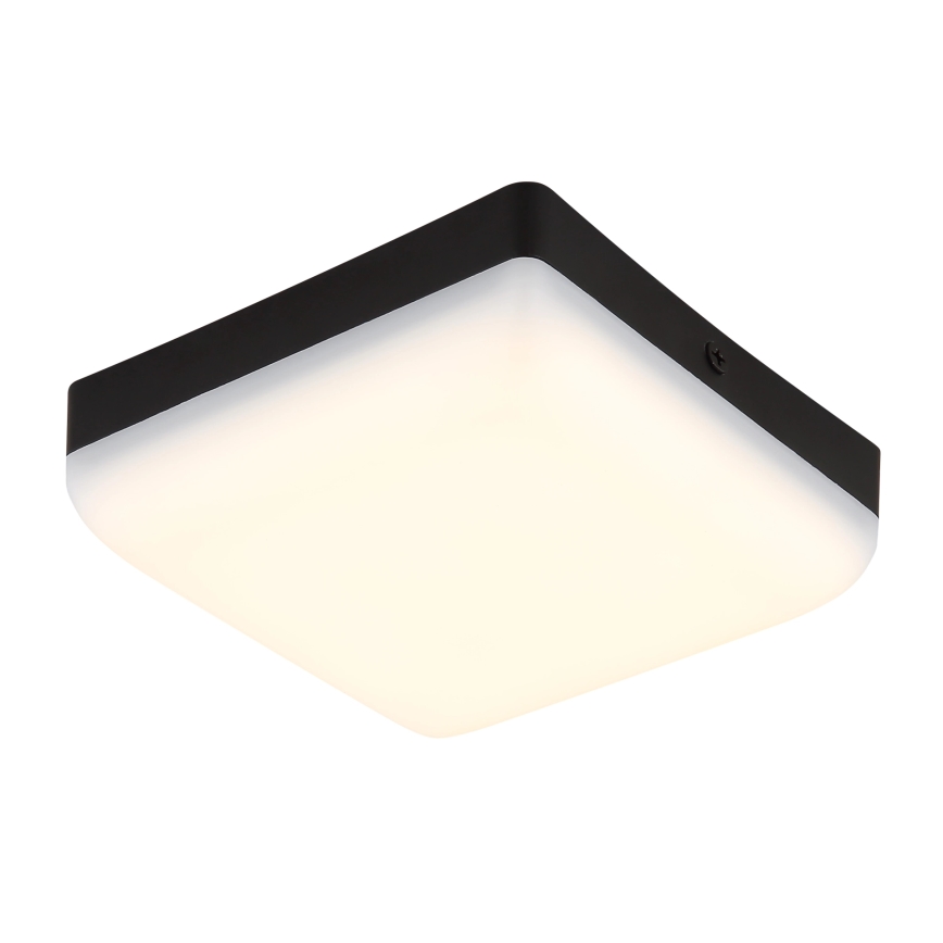 Globo - LED Stropna svetilka LED/8W/230V 4000K 12x12 cm črna
