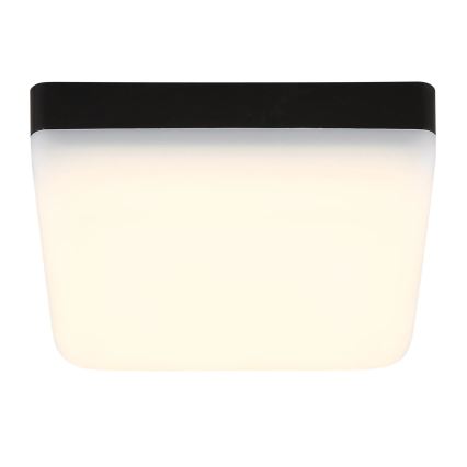 Globo - LED Stropna svetilka LED/8W/230V 4000K 12x12 cm črna