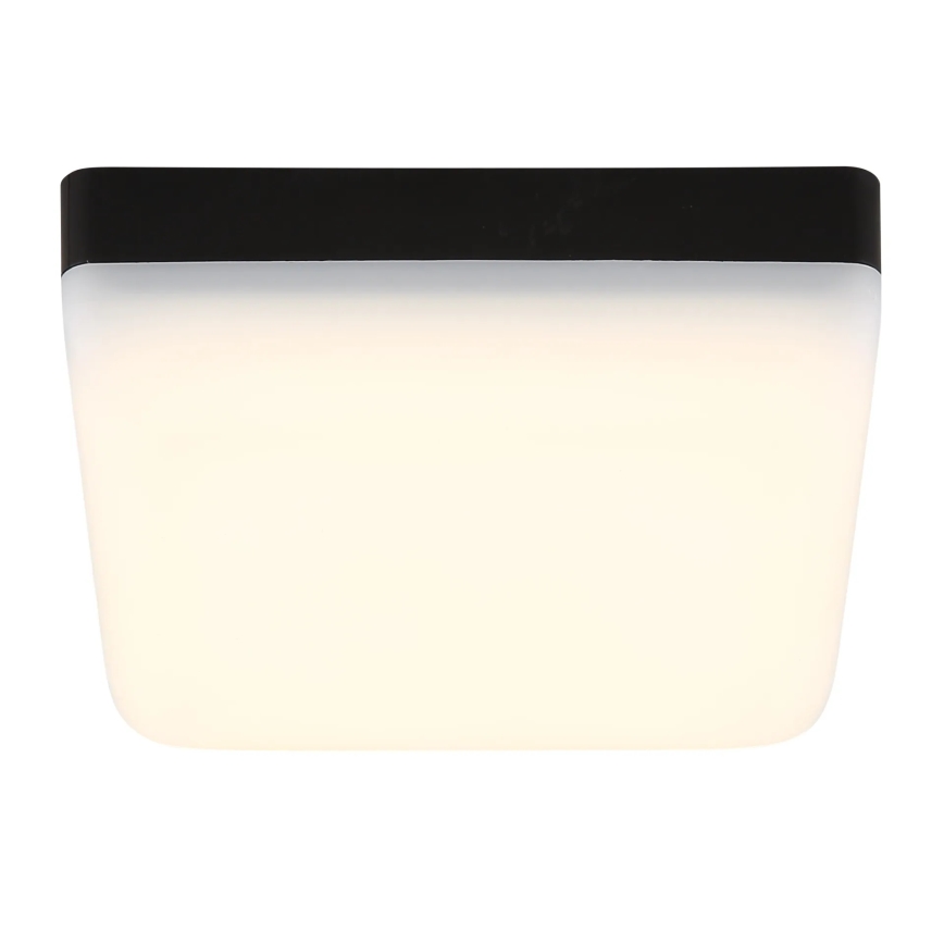 Globo - LED Stropna svetilka LED/8W/230V 4000K 12x12 cm črna