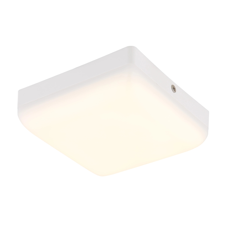Globo - LED Stropna svetilka LED/8W/230V 4000K 12x12 cm bela