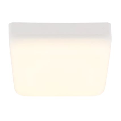 Globo - LED Stropna svetilka LED/8W/230V 4000K 12x12 cm bela