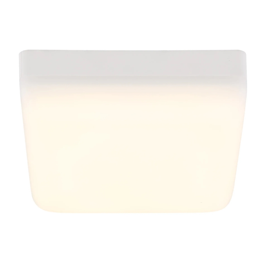 Globo - LED Stropna svetilka LED/8W/230V 4000K 12x12 cm bela