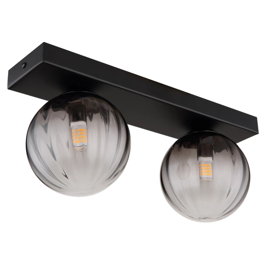 Globo - Stropna svetilka 2xG9/10W/230V
