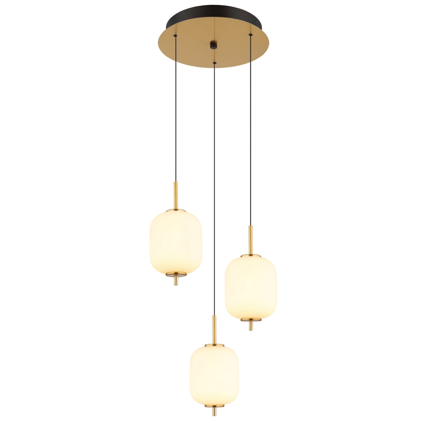 Globo - LED Lestenec na vrvici LED/20W/230V