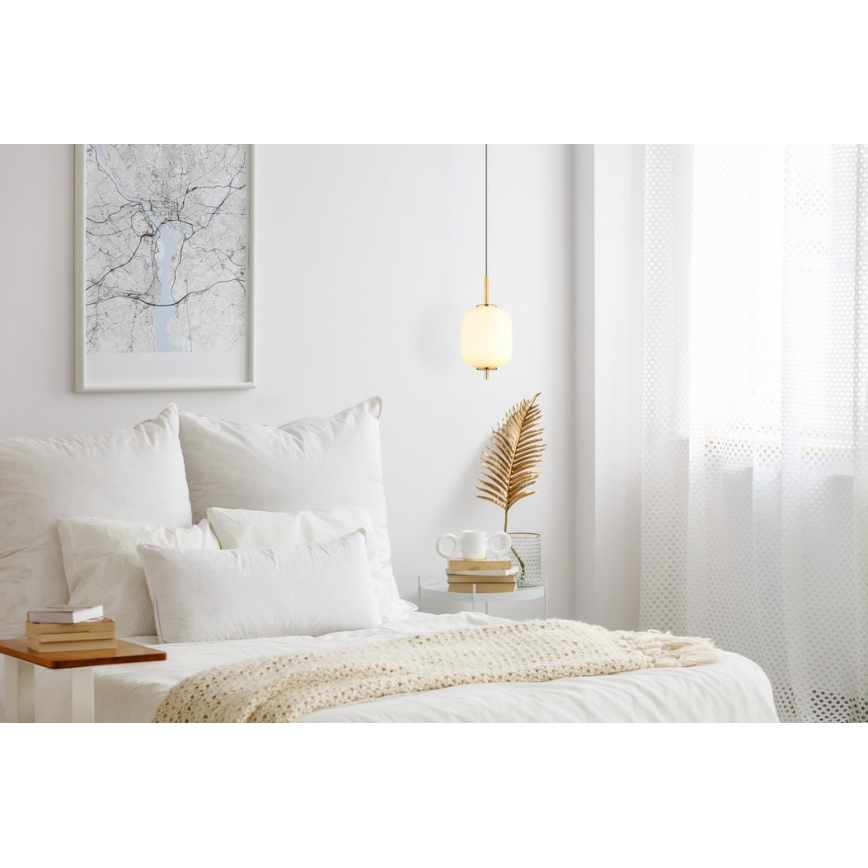 Globo - LED Lestenec na vrvici LED/7W/230V