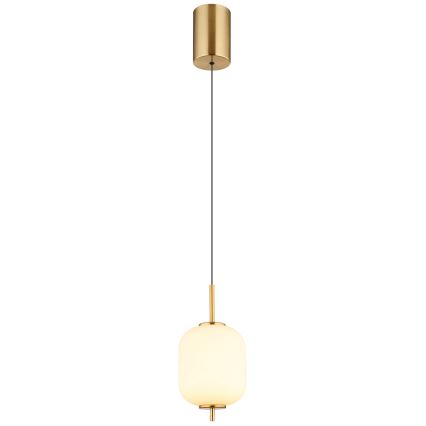 Globo - LED Lestenec na vrvici LED/7W/230V