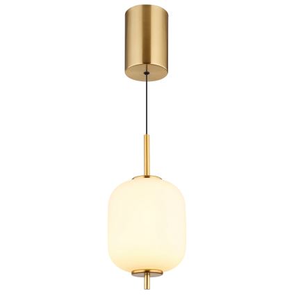 Globo - LED Lestenec na vrvici LED/7W/230V