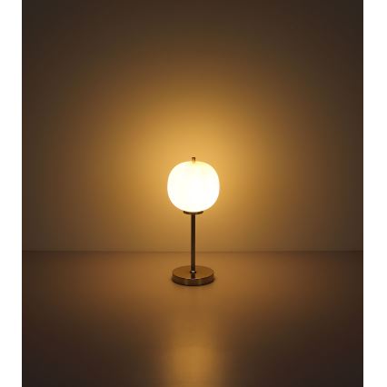 Globo - Namizna svetilka 1xE14/40W/230V mat krom