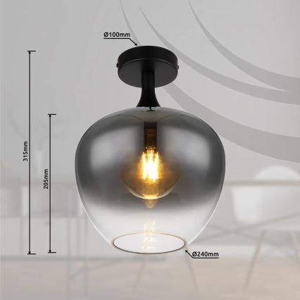 Globo - Stropna svetilka 1xE27/40W/230V dimna
