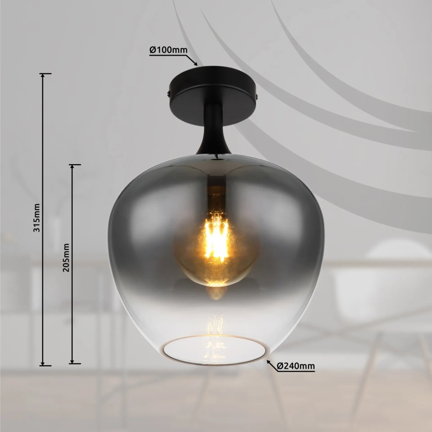 Globo - Stropna svetilka 1xE27/40W/230V dimna