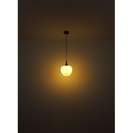 Globo - Lestenec na vrvici 1xE27/60W/230V pr. 29 cm bela/rjava