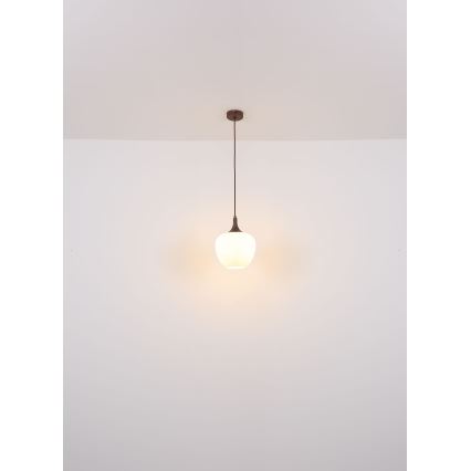 Globo - Lestenec na vrvici 1xE27/60W/230V pr. 29 cm bela/rjava