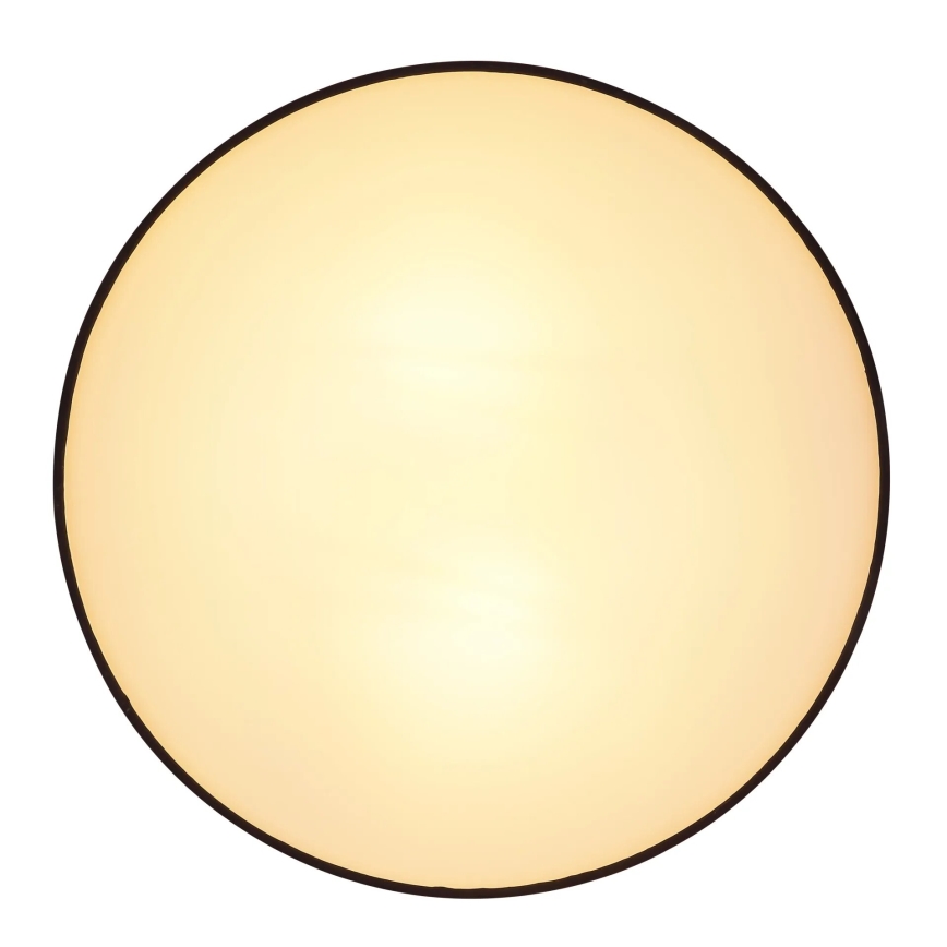 Globo 15582D - Stropna svetilka INGEBORG 2xE27/15W/230V