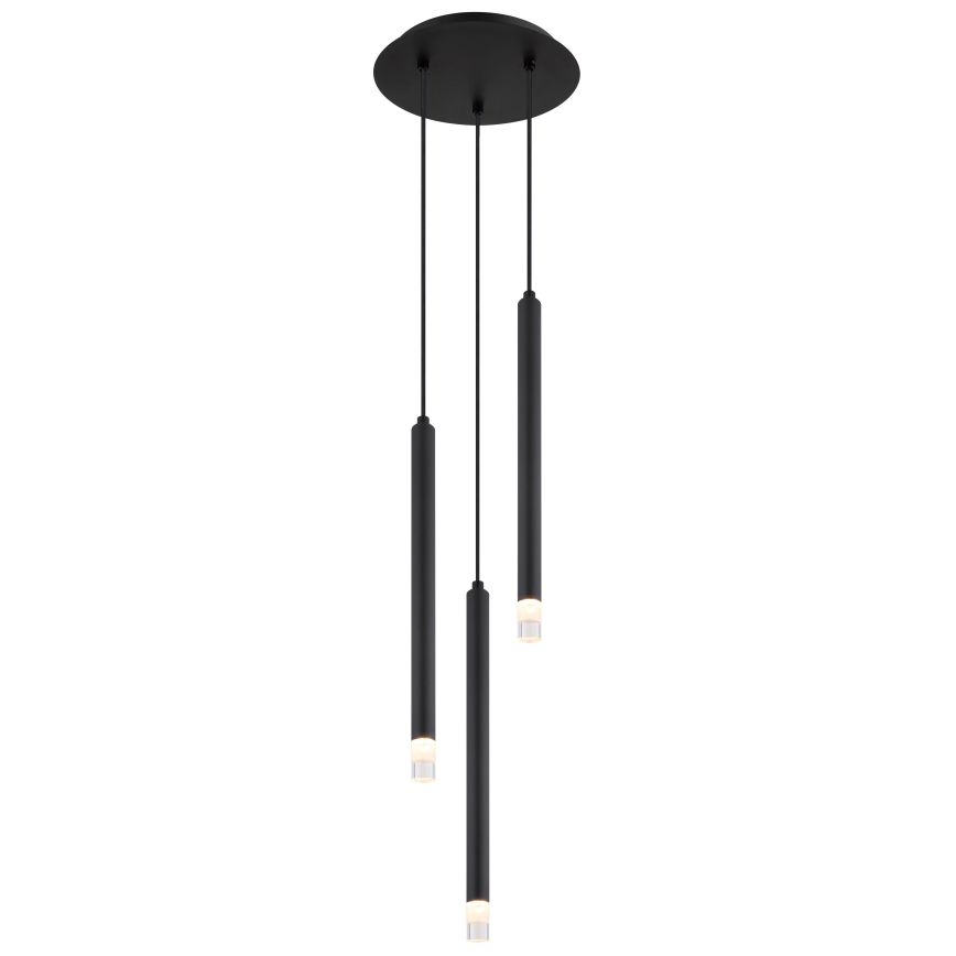 Globo - Lestenec na vrvici 3xG9/4W/230V pr. 24 cm črna