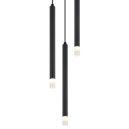 Globo - Lestenec na vrvici 3xG9/4W/230V pr. 24 cm črna