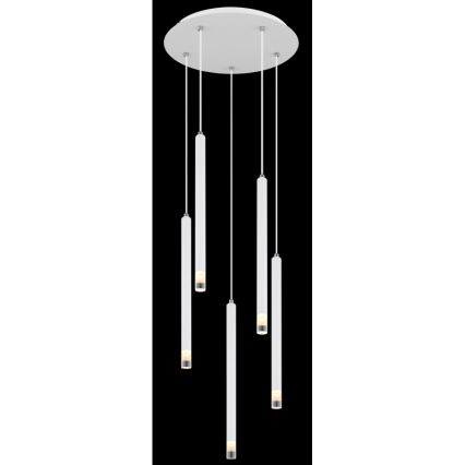 Globo - Lestenec na vrvici 5xG9/4W/230V pr. 34 cm