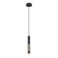 Globo 15630H - LED viseča svetilka na kablu PENNY LED/12W/230V 3000K črna