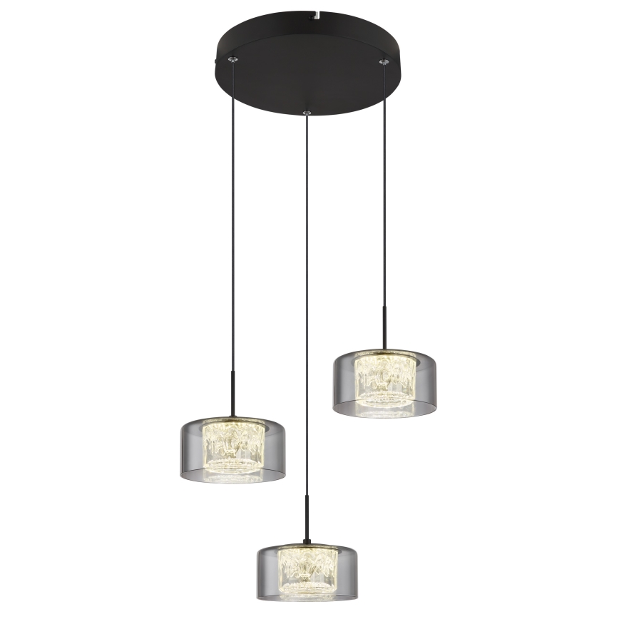 Globo - LED Lestenec na vrvici 3xLED/8W/230V